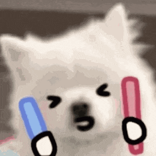 赛现场出现 赛现场出现